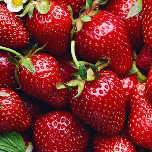 Hypochlorous Food Non Rinse Antimicrobial for fruits, vegetables, seafood and meats image 3